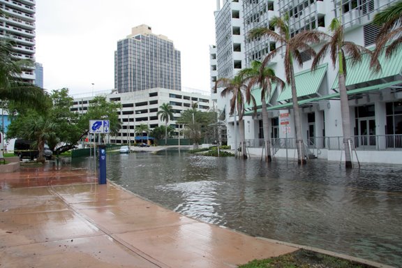Miami Beach tidal flood