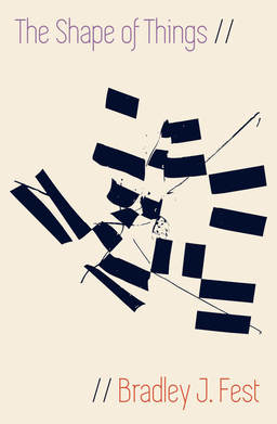 Fest, Bradley J--Cover to The Shape of Things